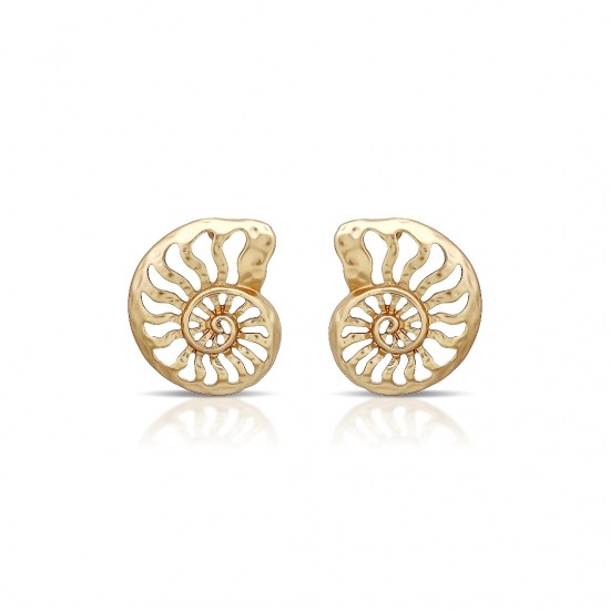 Clam Shell Gold Earrings