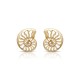Clam Shell Gold Earrings