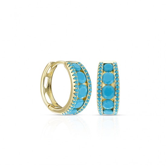 Dil Zircon Gold Earrings