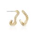 Pap Zircon Gold Earrings